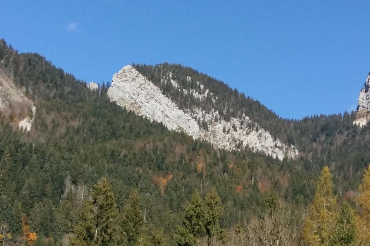 Le Chartreux De Pierre De Chartreuse Saint-Pierre-de-Chartreuse